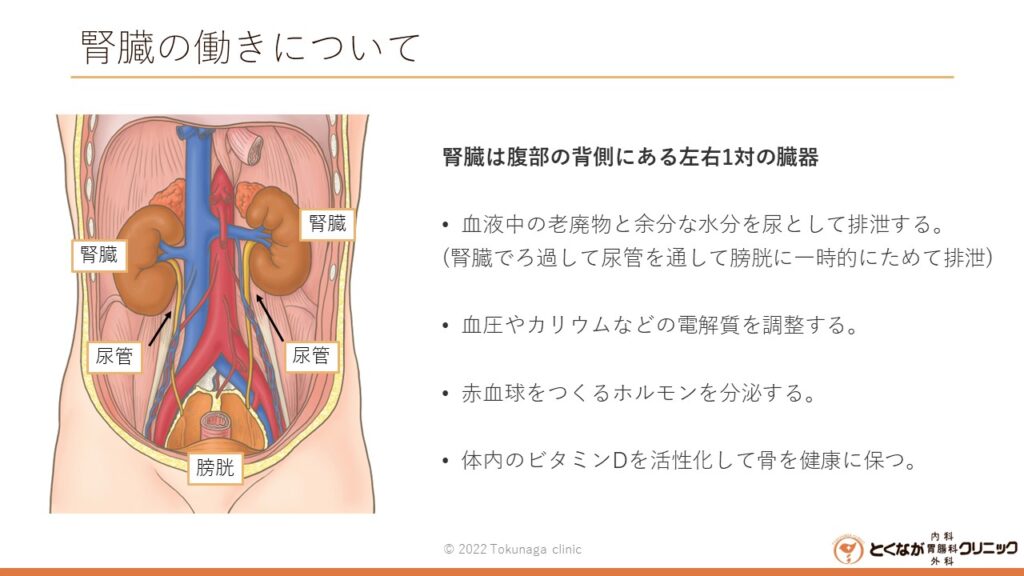 慢性腎臓病 のイメージ画像
